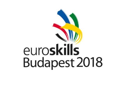 GénieActualités Génie Fluide le Concours Euroskills 2018 Fluide : expert métier au Concours Euroskills 2018